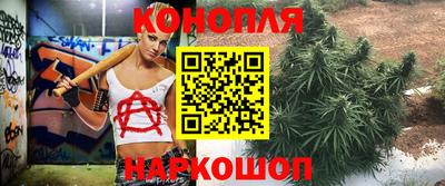 скорость Будённовск