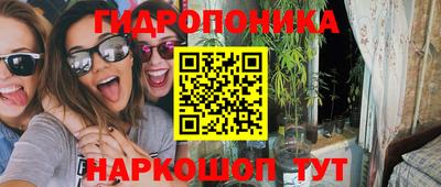 скорость Будённовск