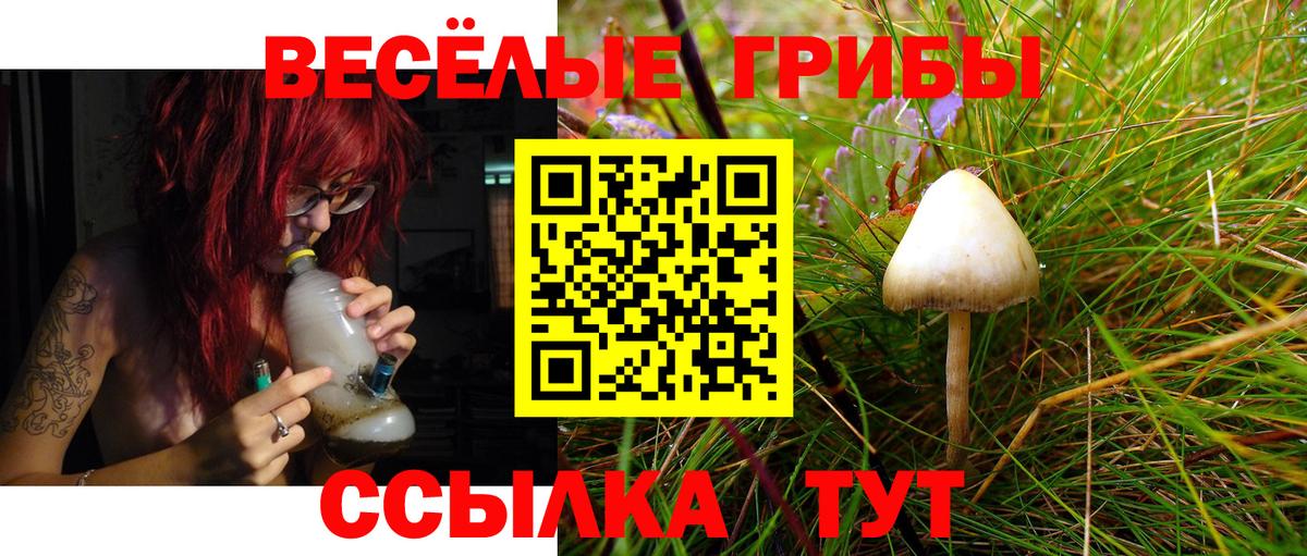 Галлюциногенные грибы Cubensis  Вход с VPN  Томск  Галлюциногенные грибы прущие грибы 